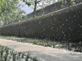 明天几点下雨