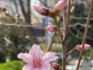 鄢陵天气预报15天查询，掌握未来天气，从容安排生活