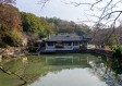冬天去哪里旅游合适（冬天去哪里旅游合适）