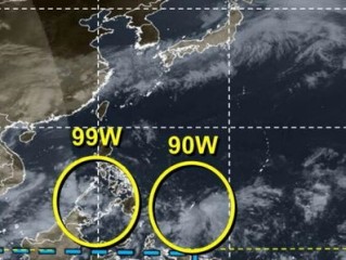 台风胚胎最新消息，南海热带扰动升级，华南需警惕强风雨