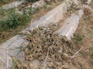 天有不测风云，人有气象台，中央气象台如何预知未来天气？