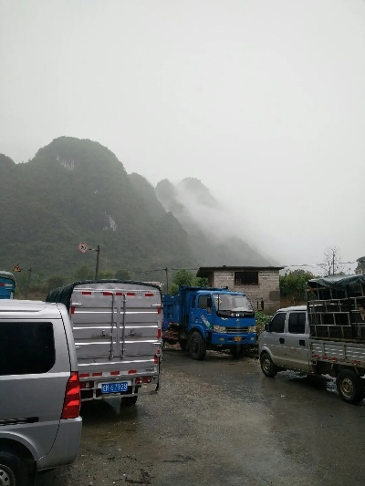 巴马天气预报（崇左天气预报）