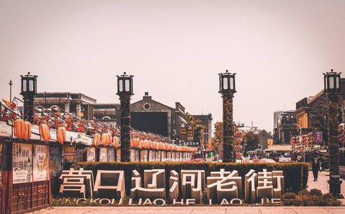 辽宁疫情最新消息（辽宁疫情最新消息今天）