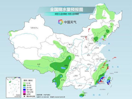 风雨守望者—中国中央气象台台风网如何守护万家平安