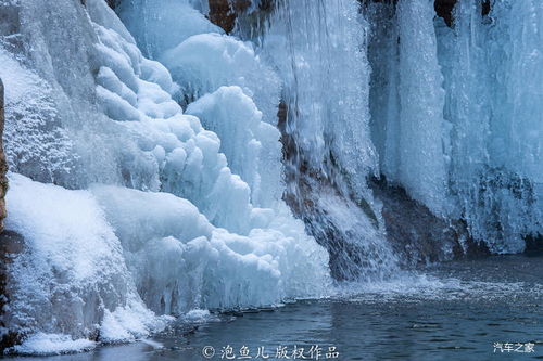 塔河天气预报，守护林海雪原的气象哨兵