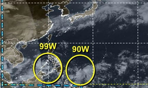 台风胚胎最新消息,南海热带扰动升级,华南需警惕强风雨 台风胚胎最新消息,南海热带扰动升级,华南需警惕强风雨