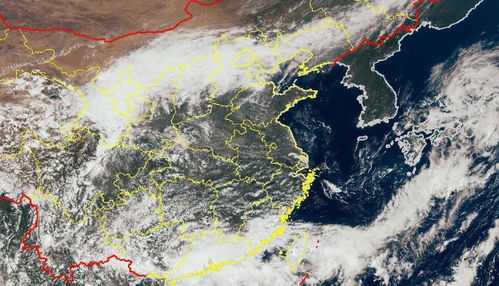 透过台风实时路径卫星云图,我们看到了什么? 透过台风实时路径卫星云图,我们看到了什么?