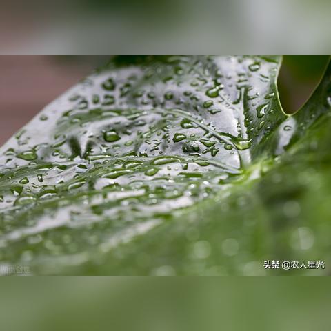精确预报几点几分下雨 精确预报几点几分下雨