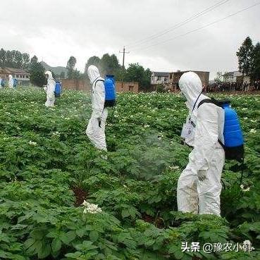 今日24小时天气预报，晴雨交替，出行需留意
