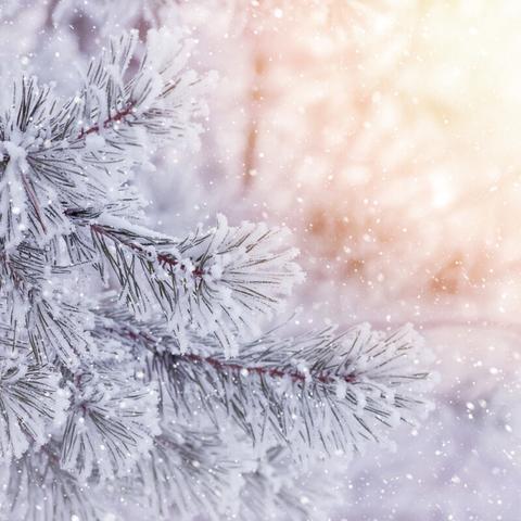 湖南将迎雨雪天气,寒潮来袭,全省需做好防范准备 湖南将迎雨雪天气,寒潮来袭,全省需做好防范准备