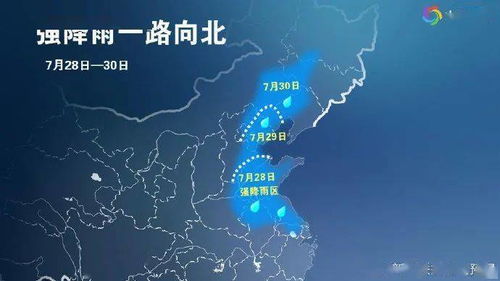 上海三十天天气预报，从数据看城市气候变迁与生活指南