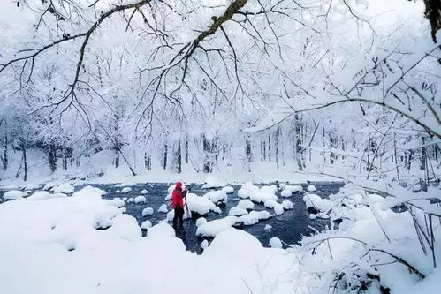 长春24小时，从晨雾到夜雪，一组天气预报里的城市呼吸