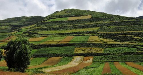 礼县天气预报,一份关于山、云与时间的温情指南 礼县天气预报,一份关于山、云与时间的温情指南