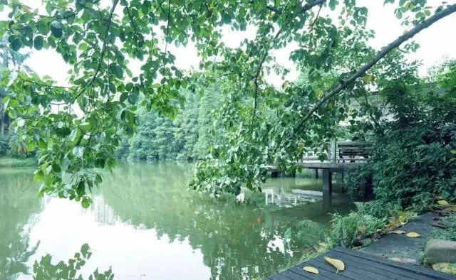 番禺天气，岭南水乡的四季私语
