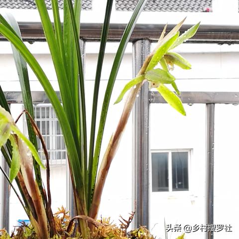 中国天气网预警，科技与责任编织的安全之网