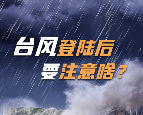 双台共舞,15号与16号台风的接力风暴 双台共舞,15号与16号台风的接力风暴
