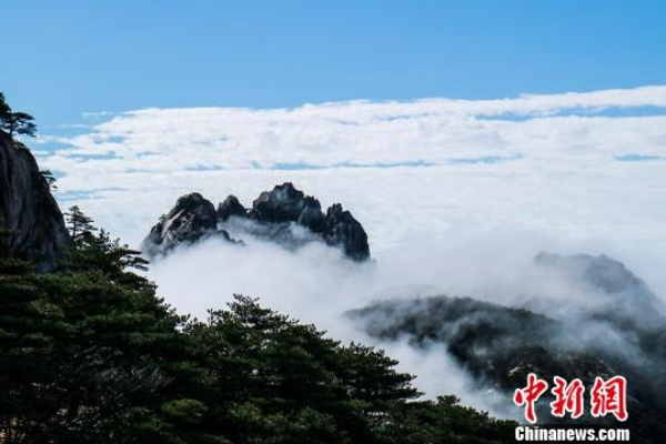 安徽黄山天气,云海与晴空的交响诗 安徽黄山天气,云海与晴空的交响诗