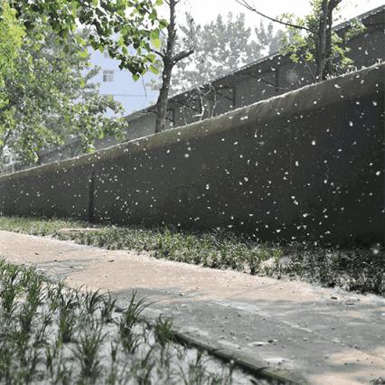 明天几点下雨 明天几点下雨