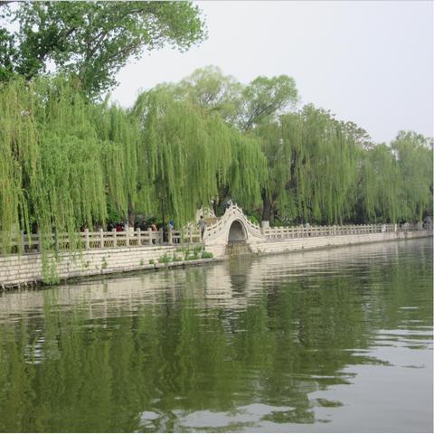 在喧嚣中寻一方清净，为什么我选择了一款无广告的天气App