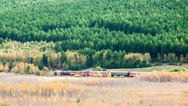 阿尔山天气,一场与自然呼吸的对话 阿尔山天气,一场与自然呼吸的对话