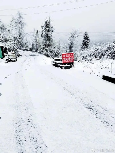 南方雨雪来袭，一场冬日里的湿冷魔法考验