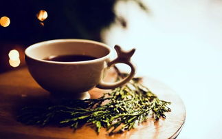 普洱天气,一座茶城的温柔与无常 普洱天气,一座茶城的温柔与无常